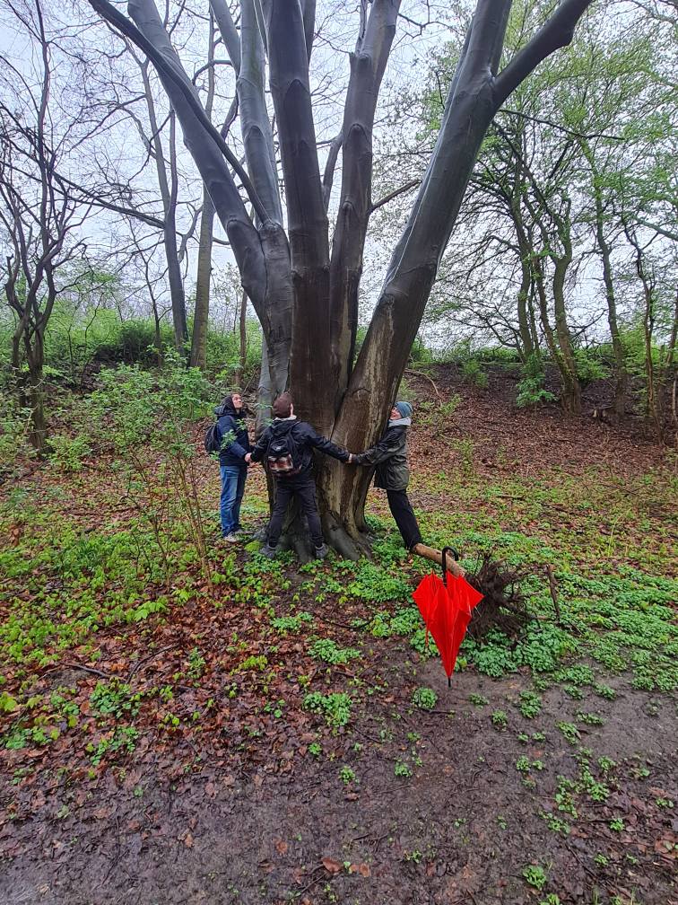 Gemeinsam am Baum – Natur erleben